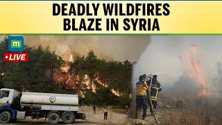 Live:  Wildfires sweep through forested areas in Latakia, Syria | N18G