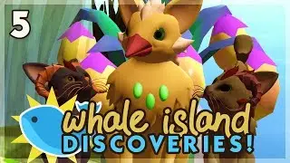 One Fearless Bird! | Niche Let's Play &bull; Whale Island Discoveries - Episode 5