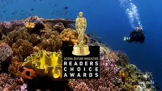 Wakatobi Dive Resort