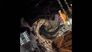 Gangstro YIC x Perry Snatch x Yaw Fhanta - Trapping