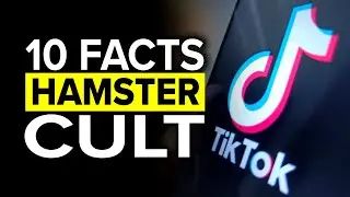 What Is The Hamster Cult On TikTok - 10 Facts 🐹