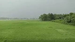Lovely natural video✨🍃💖 Village rain status video______💦