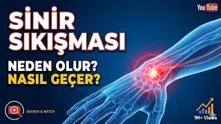 Sinir Sıkışması Neden Olur? Nasıl Ge&ccedil;er? Tedavi Y&ouml;ntemleri Neler? - Wellness Perisi
