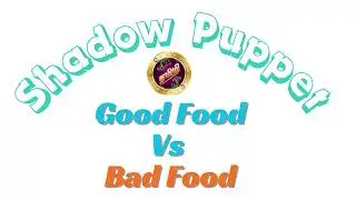 Shadow Puppet on Good Food Vs Bad Food