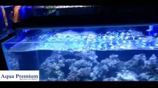 New LED light range from Ultimate Aquacare