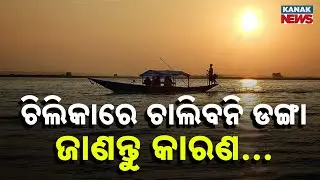 Chilika Dolphin Census: Boats Banned for 3 Days to Protect Rare Dolphins