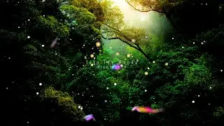 Relaxing Forest Nature Sound | Soothing Birds Singing | Magical Forest | Bicky Seth - Into The Woods