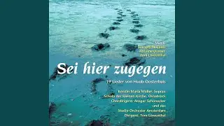 Licht, das uns anst&ouml;&szlig;t (Lied an das Licht)