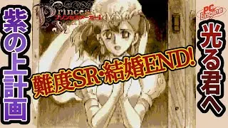 【プリンセスメーカー1】現代版源氏物語、父娘の結婚エンディング・後編【ずんだもん＆めたん解説】 PC Engine版