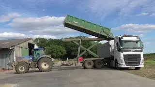 vining peas loaded on to lorry with bailey high tip trailer 2020
