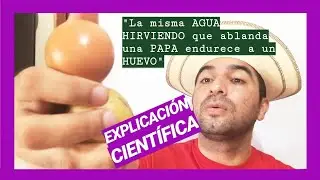 🔴¿Por qué el agua hirviendo ABLANDA una PAPA, pero ENDURECE a un HUEVO? 🔥🔥👉👉Enigma resuelto 👈👈