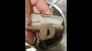 How to Clean RAZOR Clams #clam #seafood #cleaning