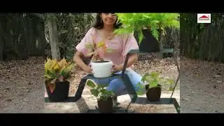 Best Gamla Stand | Plant Stand Design | Premium Quality 2025 | Made in India | Corrosion Free POT