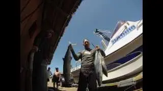 Spearfishing Mozambique Paindane 2013
