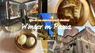 A Week in my life as an International Student living in Pavia 🇮🇹 . 🌨️⛄️☃️