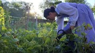 Slow Living | The Art of Finding Joy in Village Life