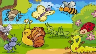 Learn how to pronounce and write insect classes in English for children