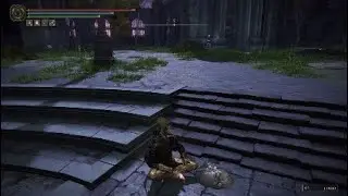 Elden Ring - Best Silver Tear Husk Farm Location