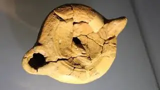 Notte Europea dei Musei 2020
