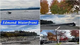 #22 Walk from Bracketts Landing to Marina Beach Park| Edmonds WA #virtualwalk