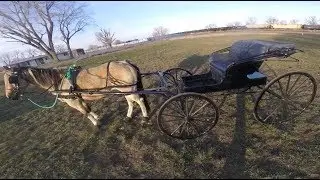Harnessing And Hitching Suits To The Buggy + Takedown