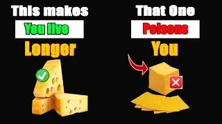 Over 60? 4 Cheeses You Should NEVER Touch and 4 You MUST Eat Daily | Goodheath365
