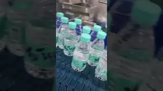 Kynhor- high speed bottling line production running