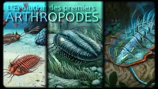 L'&egrave;re des Trilobites