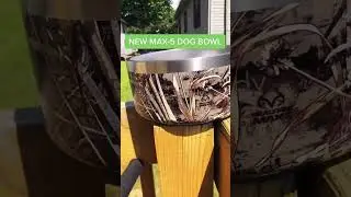 New camo dog bowl alert! who's getting one? #frostbuddy #dog