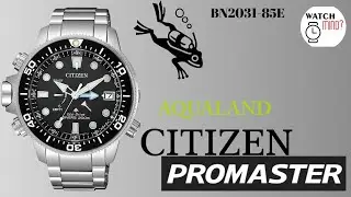 Кроссовки Citizen Promaster Diver's Aqualand BN2031-85E, РАСПАКОВКА