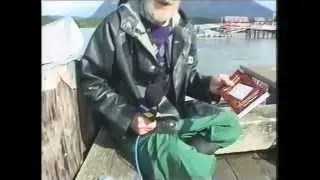 Sasquatch eyewitness interviews in a remote BC west coast community