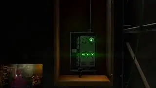 Catmemes Live Stream