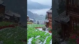 winter charming garden