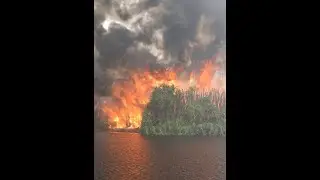 The Burning of Borneo's Peat Swamp Forest