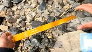 Pesca con Carnada viva...