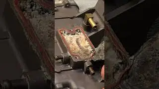 YAMAHA F-250 Fuel VST Diagnostic and Repair