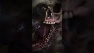 the bear from annihilation is horrifying