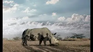 The Last Male On Earth - trailer - NL OT