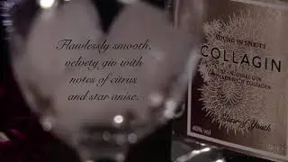 CollaGin gin