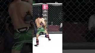 Who Had the Best Knockout? | WDS 15 Fight Night
