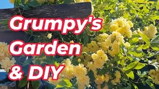 May's Garden Gander