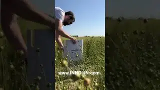INNOLIN parement panels assembling in the #flax #field / design by #jeancouvreur