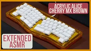 Extended ASMR - Cherry MX Brown (Lubed & Filmed) in a Acrylic Alice by Switch Couture - EnjoyPBT