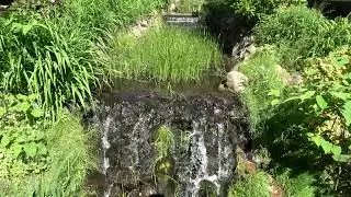 Relaxing Water and Bird Sounds | study Sounds | Background Sounds | Nature Sounds