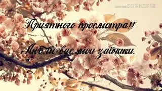 Мини бонус.Юнмины