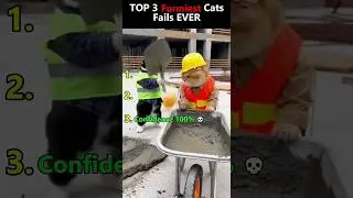 Три самых смешных случая с котами, которые довели меня до слез 😂 #смешно #кот #шорты