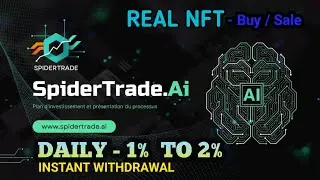 Spider Trade NFT ( NEW PLAN 2025 )