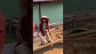 Simple Day #2 Life in Laos #RuralLaos #LaoVillageLife #Countryside #LaosVibes #SlowLife