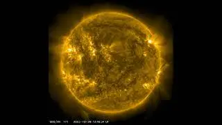 The Sun Today October 29th 2023  #sun #solaractivity #science #solarcycle