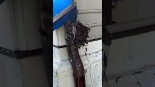Flushing Copper Gutters #guttercleaning #coppergutters